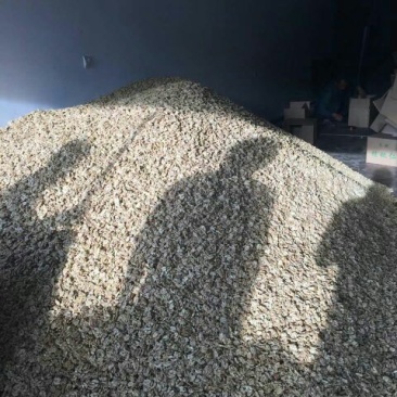 薄皮核桃去皮干