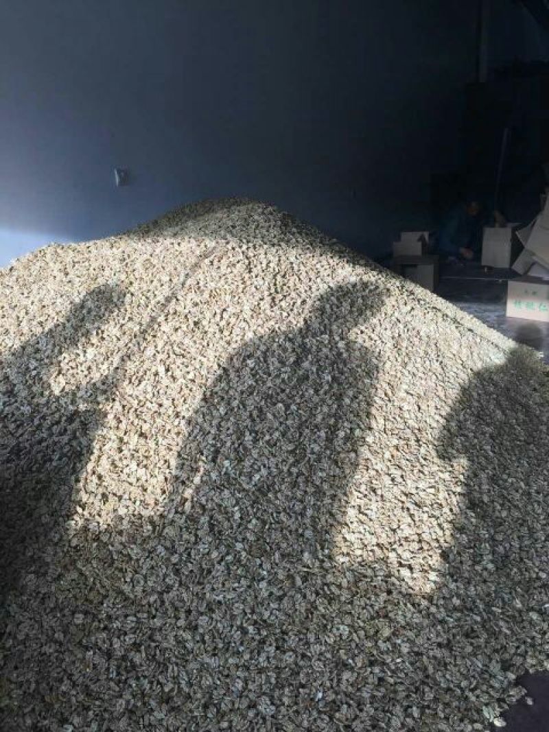 薄皮核桃去皮干