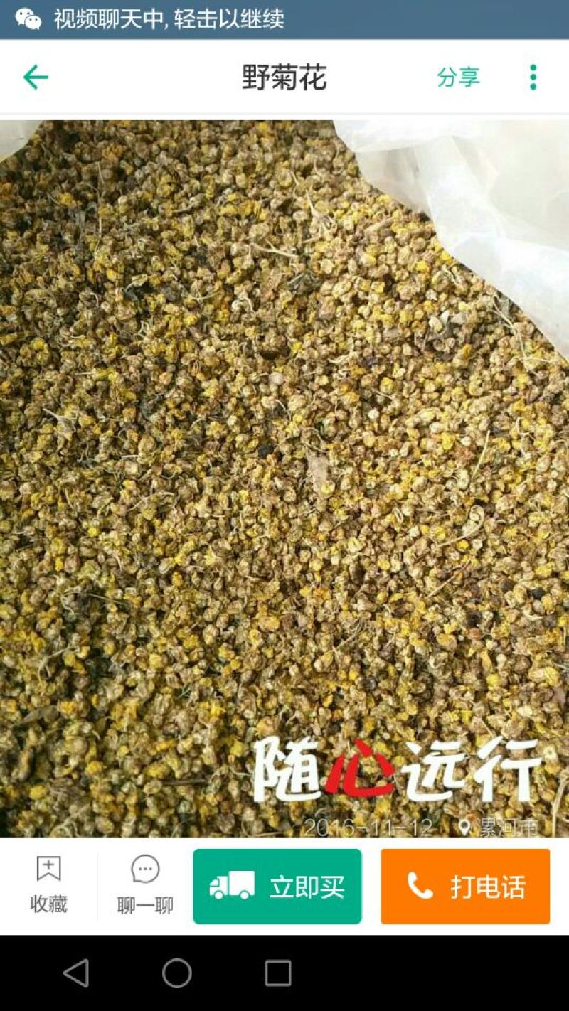 野菊花颗粒