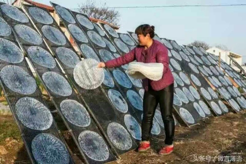 绿豆粉皮包装