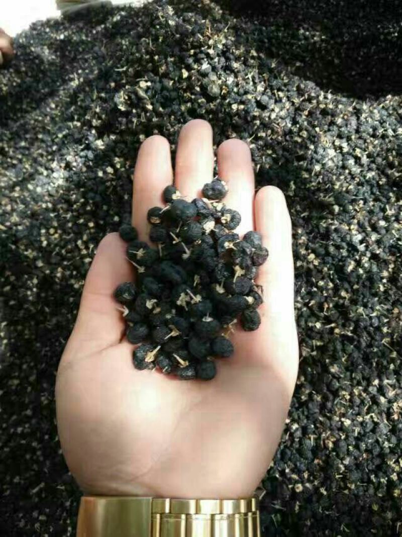 枸杞头茬