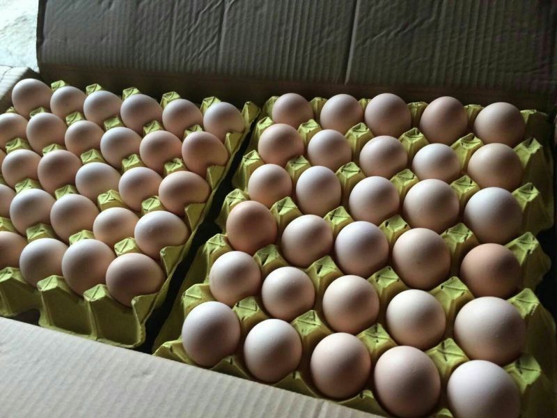 粉蛋食用50g以下
