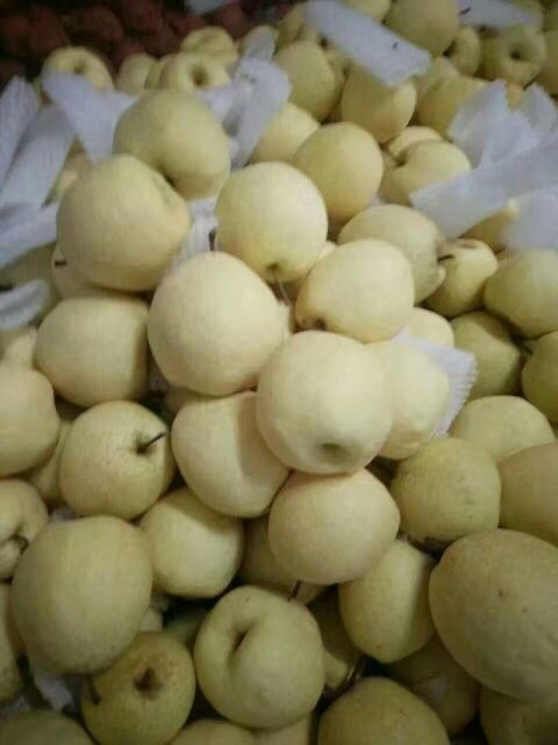 冰糖蜜梨250~300g纸箱