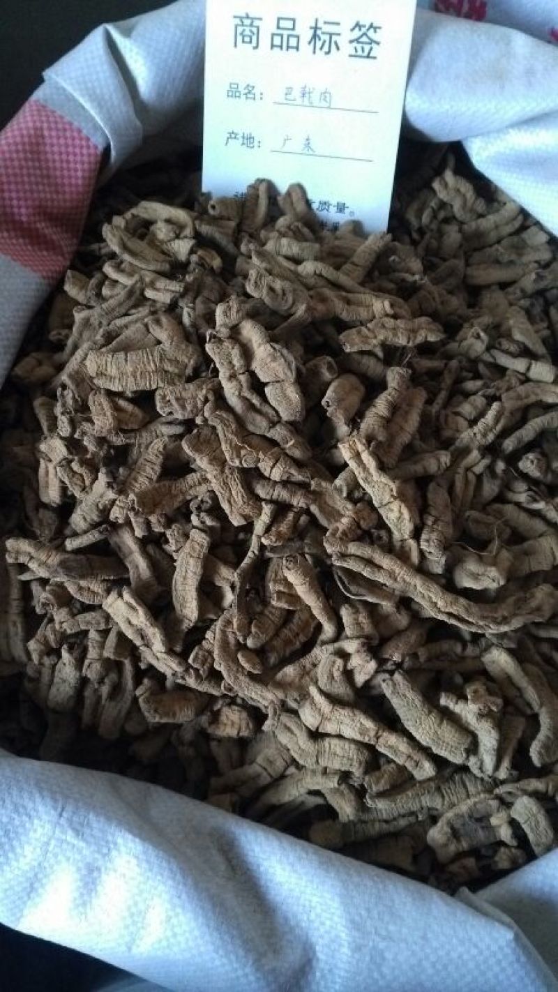 巴戟天一级