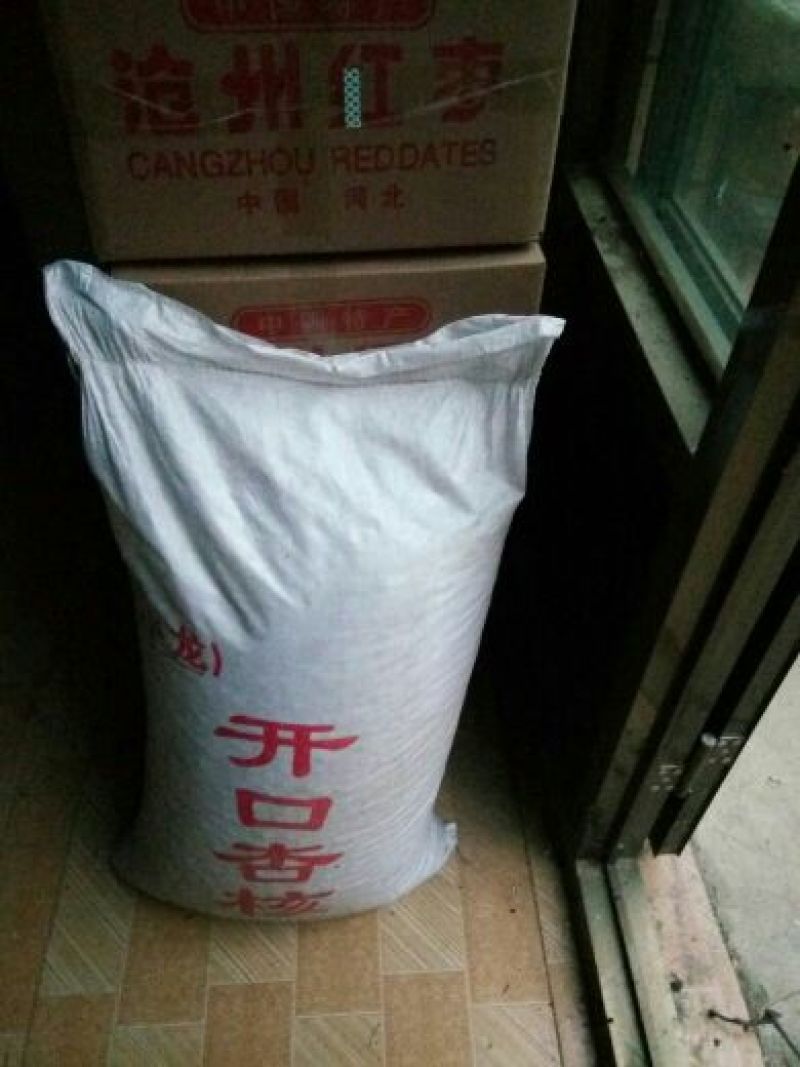 厂家批发开口甜杏核一级香香脆脆健康休闲食品