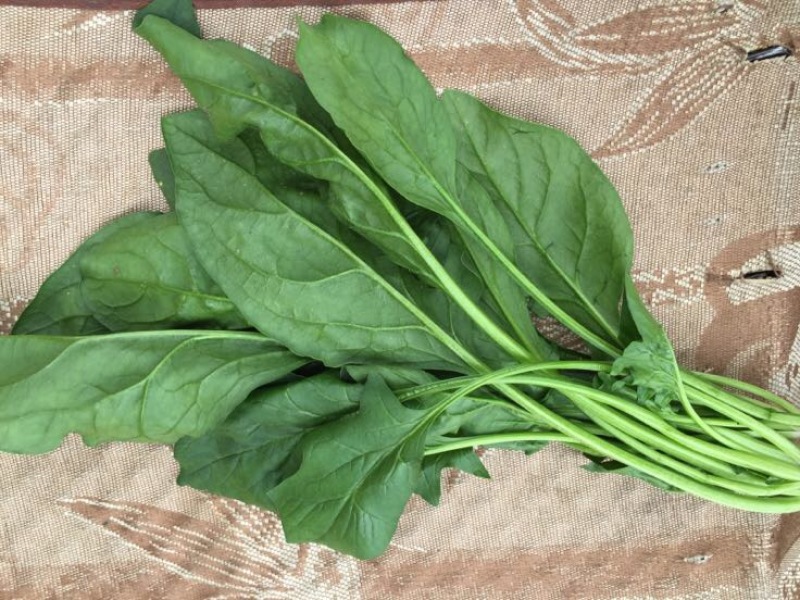 菠菜