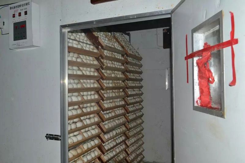 鹅苗250g以下