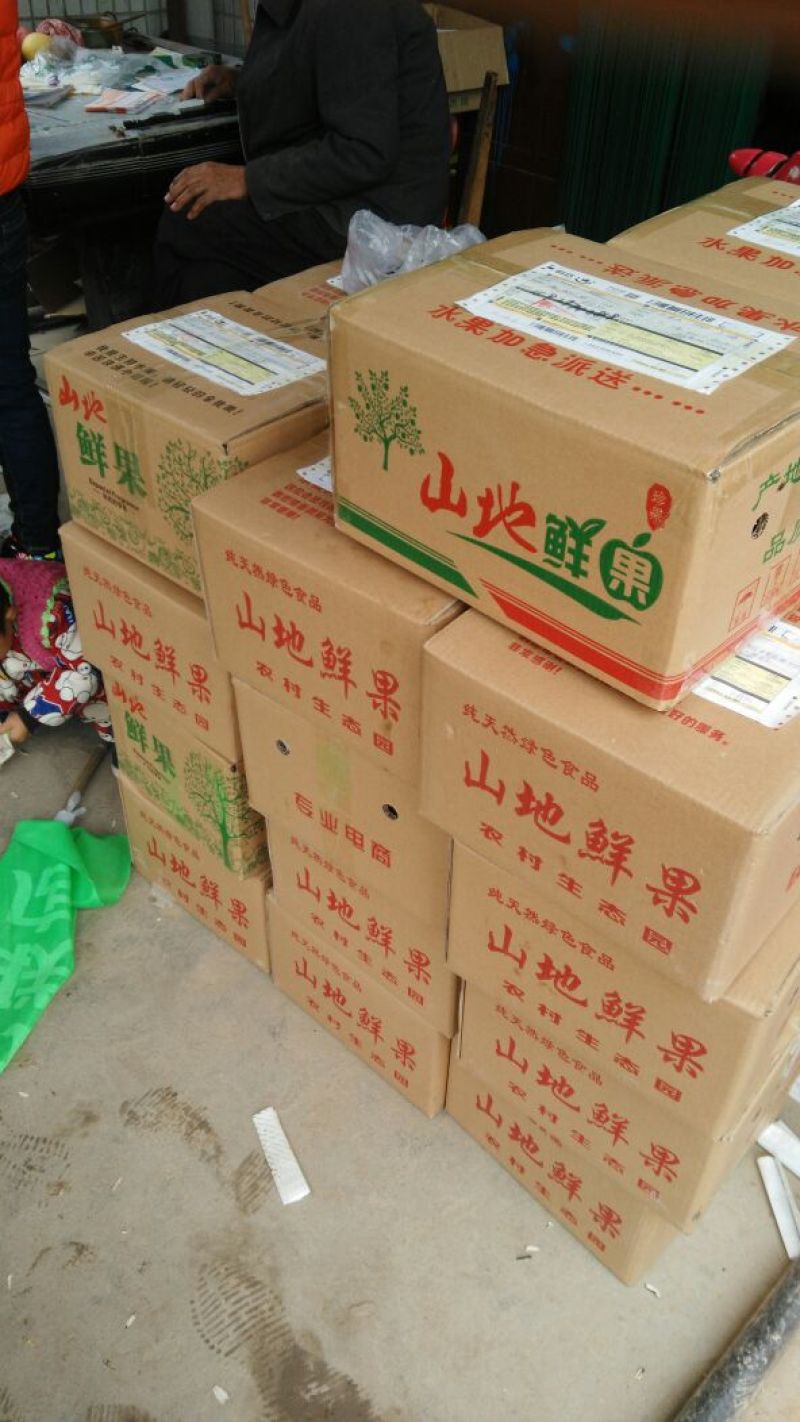 酥梨500~550g光果