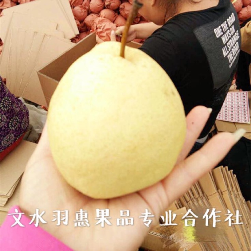 贡梨纸箱300~350g