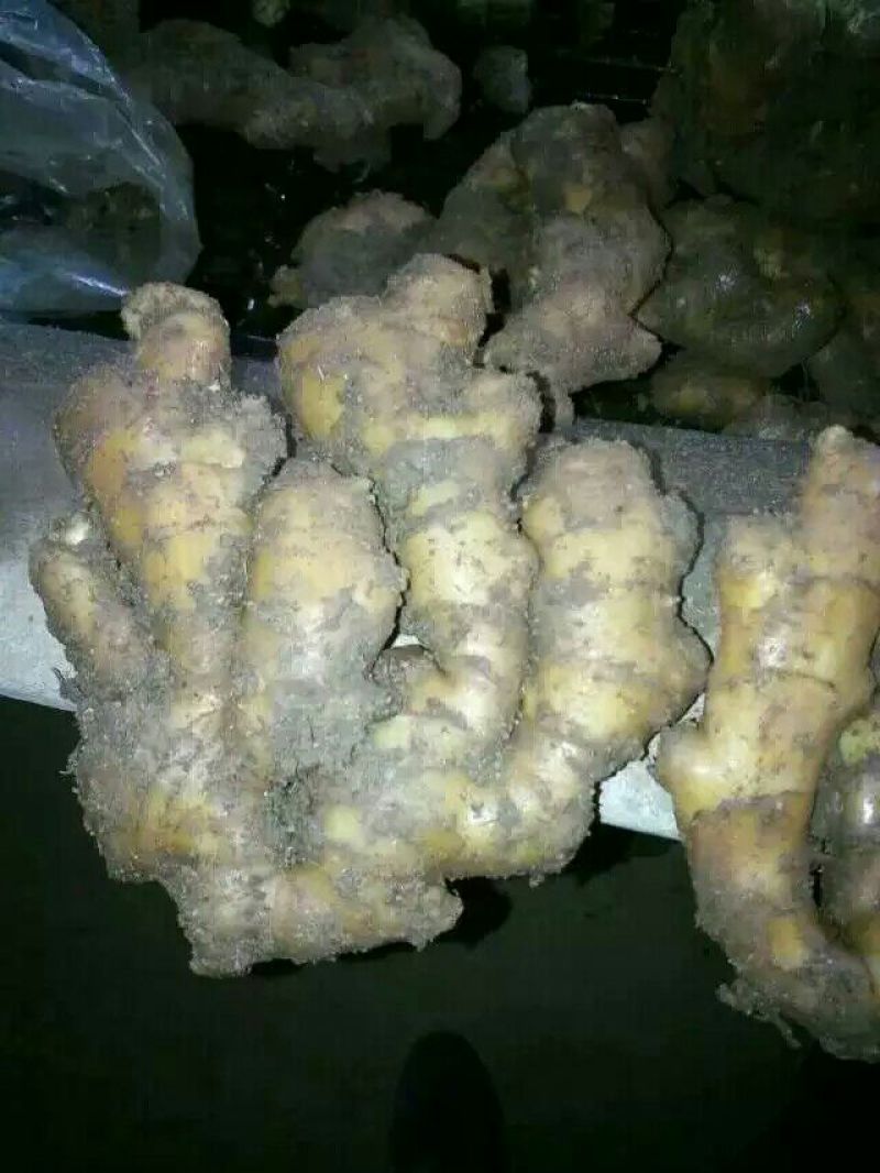 生姜