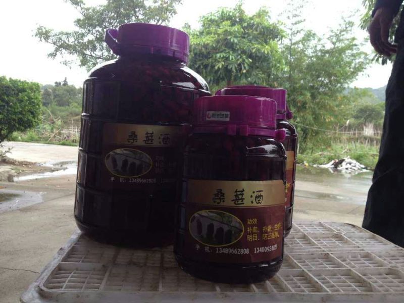 桑葚酒