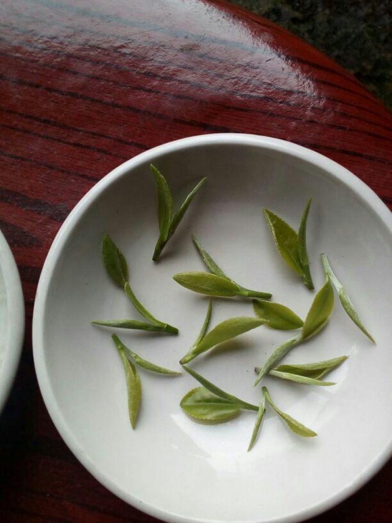 本山茶特级