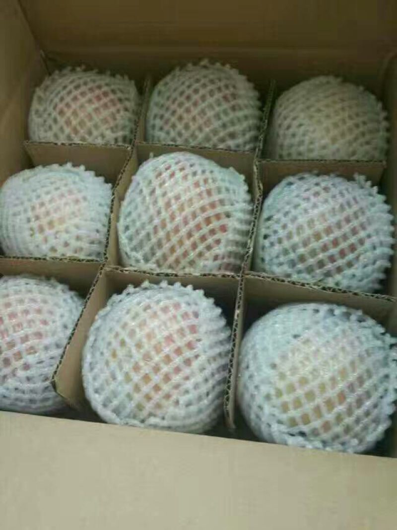 红富士苹果80mm以上膜袋