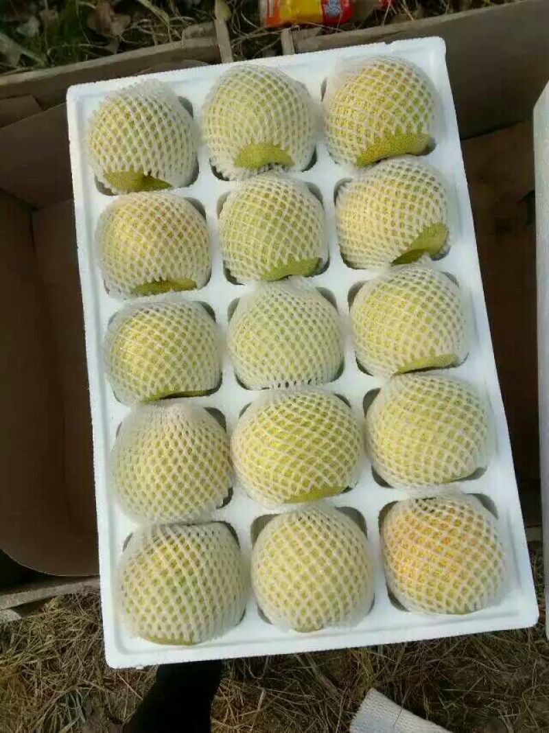 酥梨200~250g光果