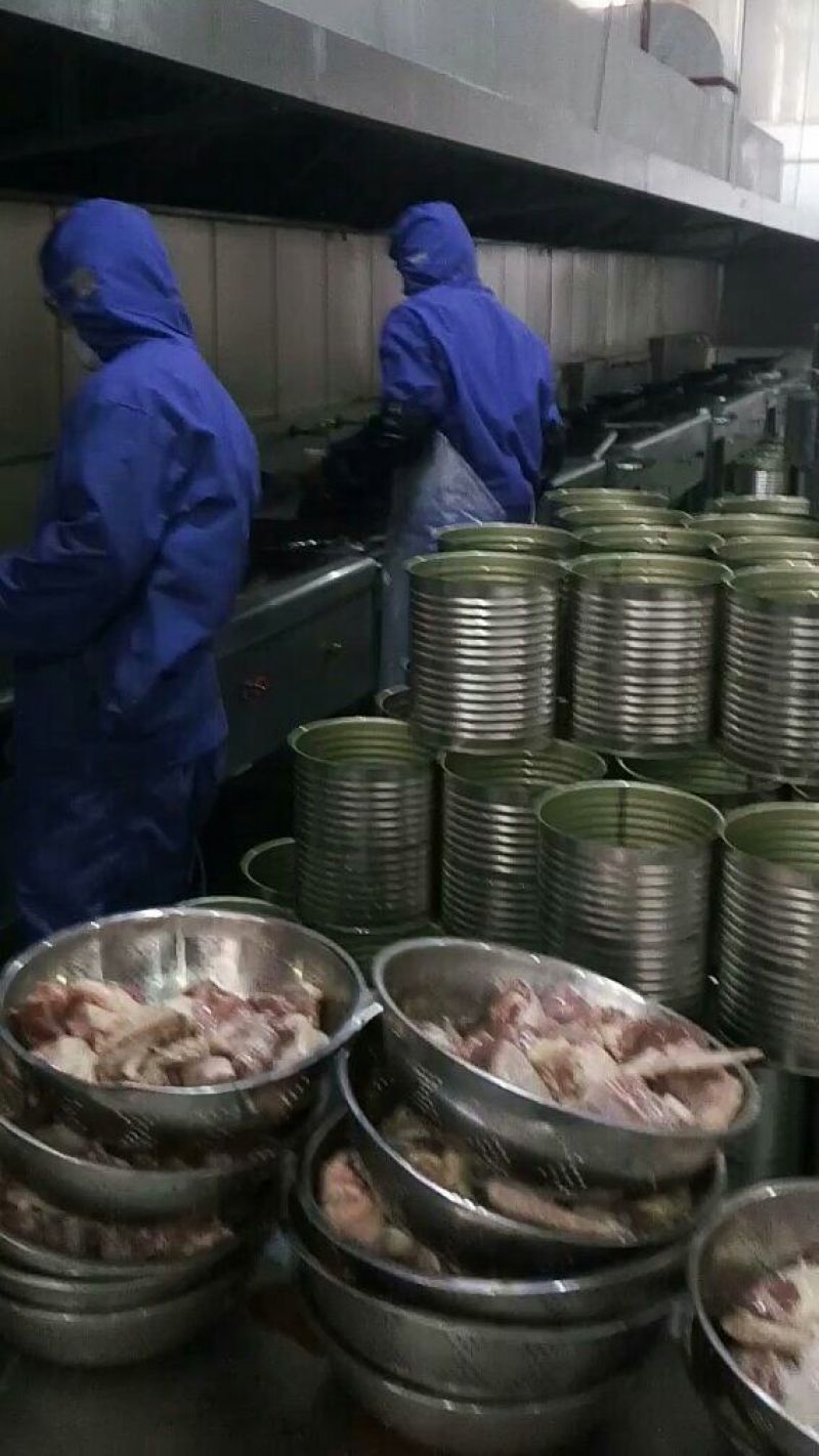 麻辣鸭