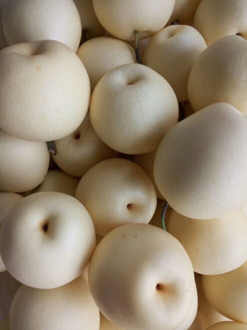 皇冠梨250~300g纸箱
