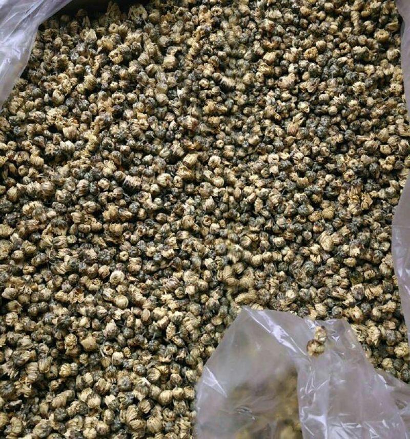 白菊花茶