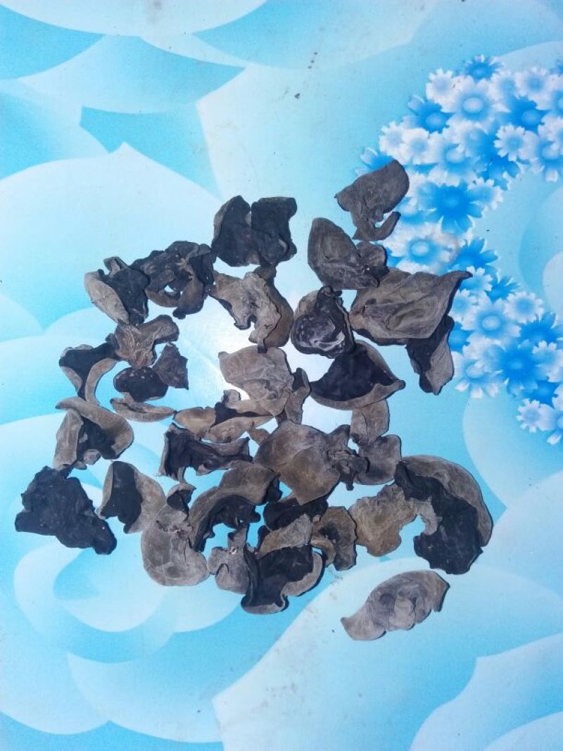 干木耳一级