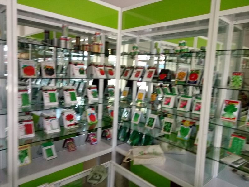 葵花种子