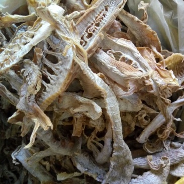 浙江温州无盐竹笋干干货农家自制装嫩笋干笋尖干笋干冬笋干