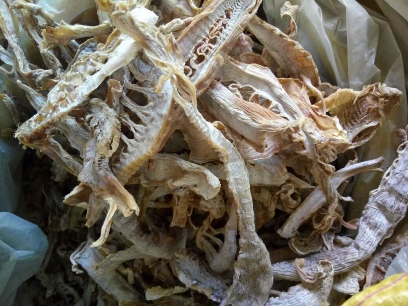 浙江温州无盐竹笋干干货农家自制装嫩笋干笋尖干笋干冬笋干
