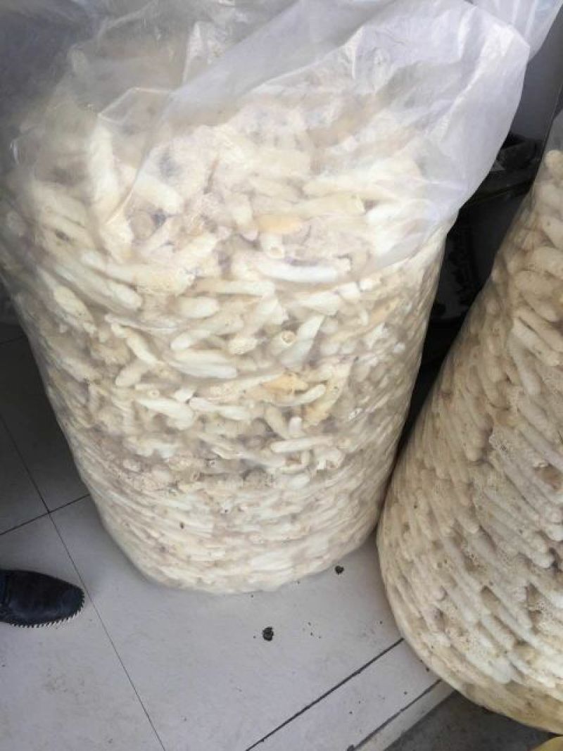 干竹荪一级