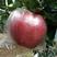 红星苹果膜袋四两以上半斤以上筐装通货和好货