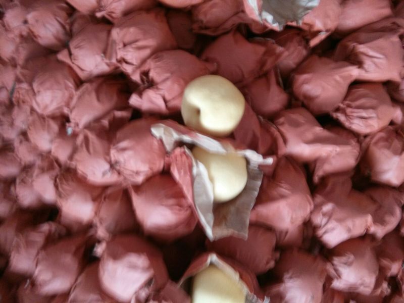 梨光果300~350g