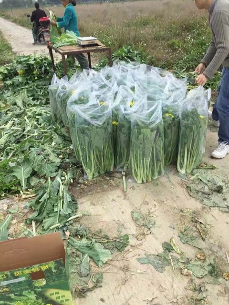 蔬菜