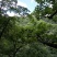 土蜂蜜2斤