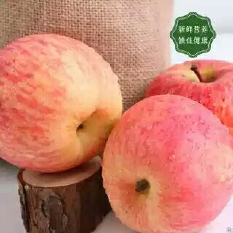 山东烟台红富士苹果纸袋