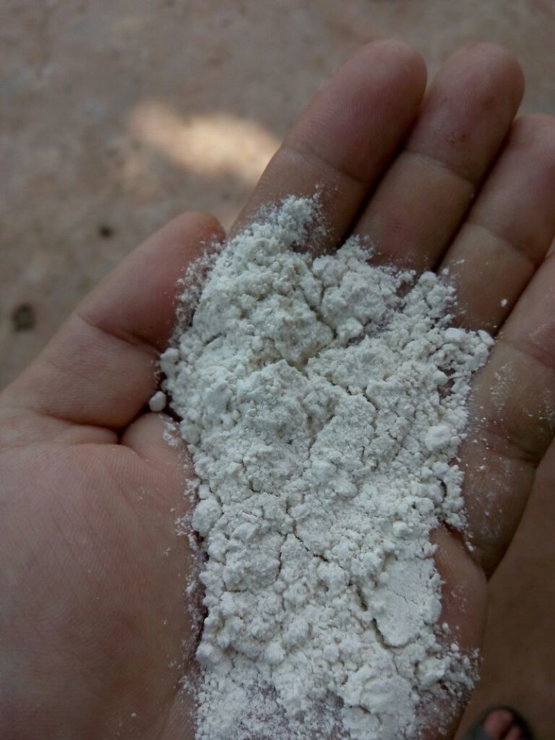 红薯淀粉