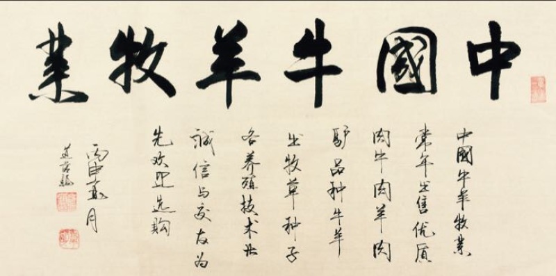 西门塔尔牛犊，纯种西门塔尔牛牛犊100~200kg