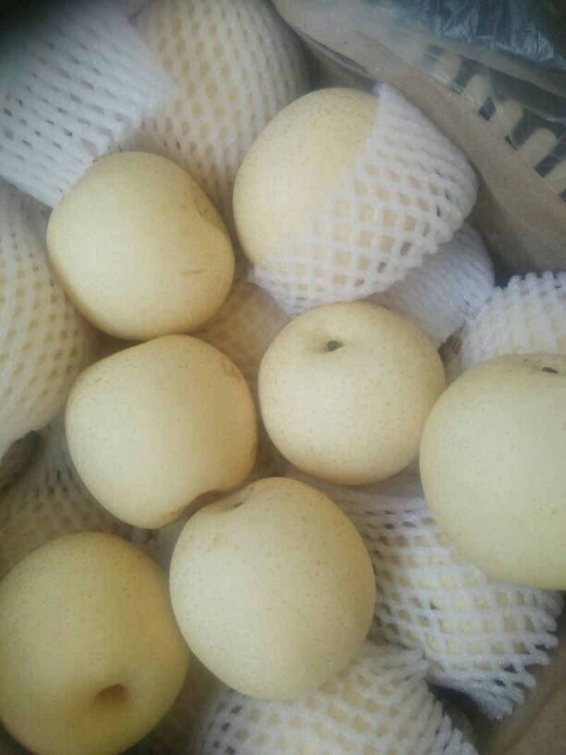 皇冠梨300~350g纸袋