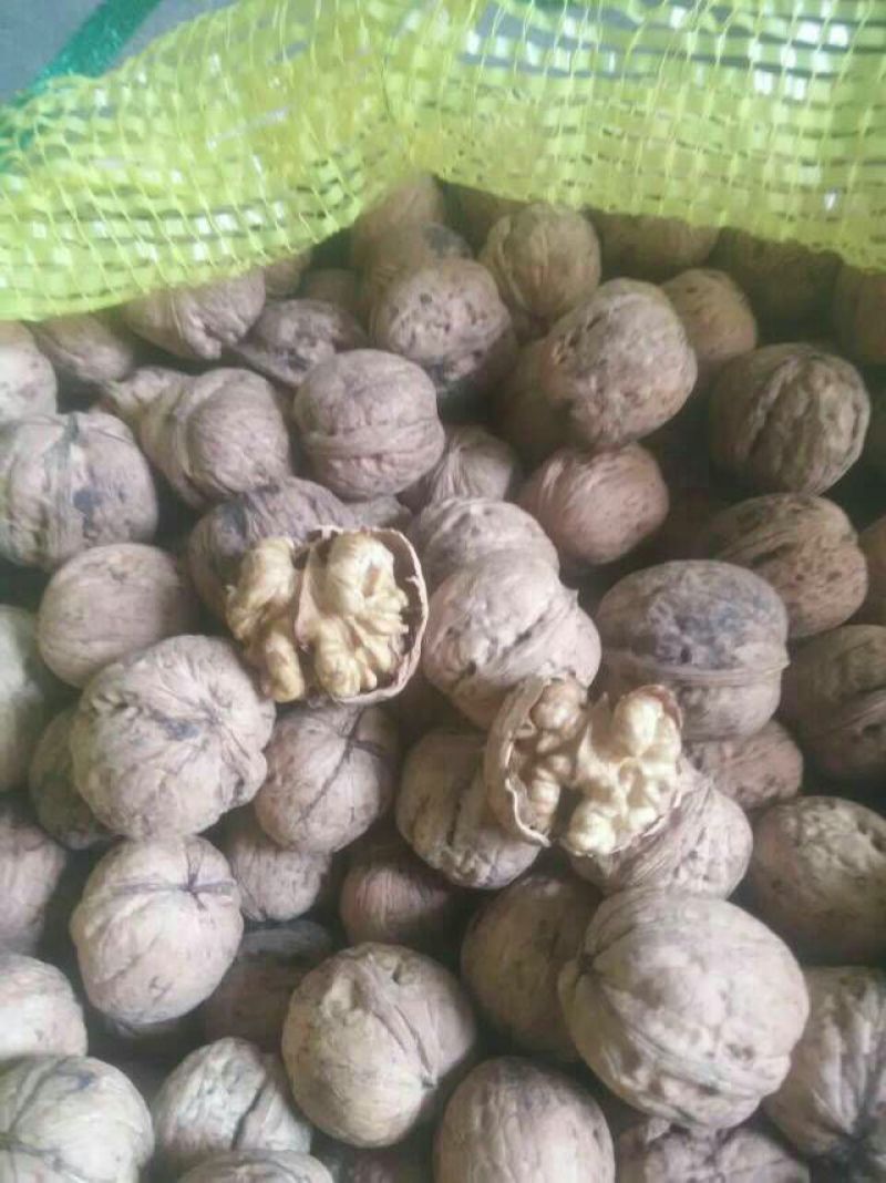 纸皮核桃去皮干