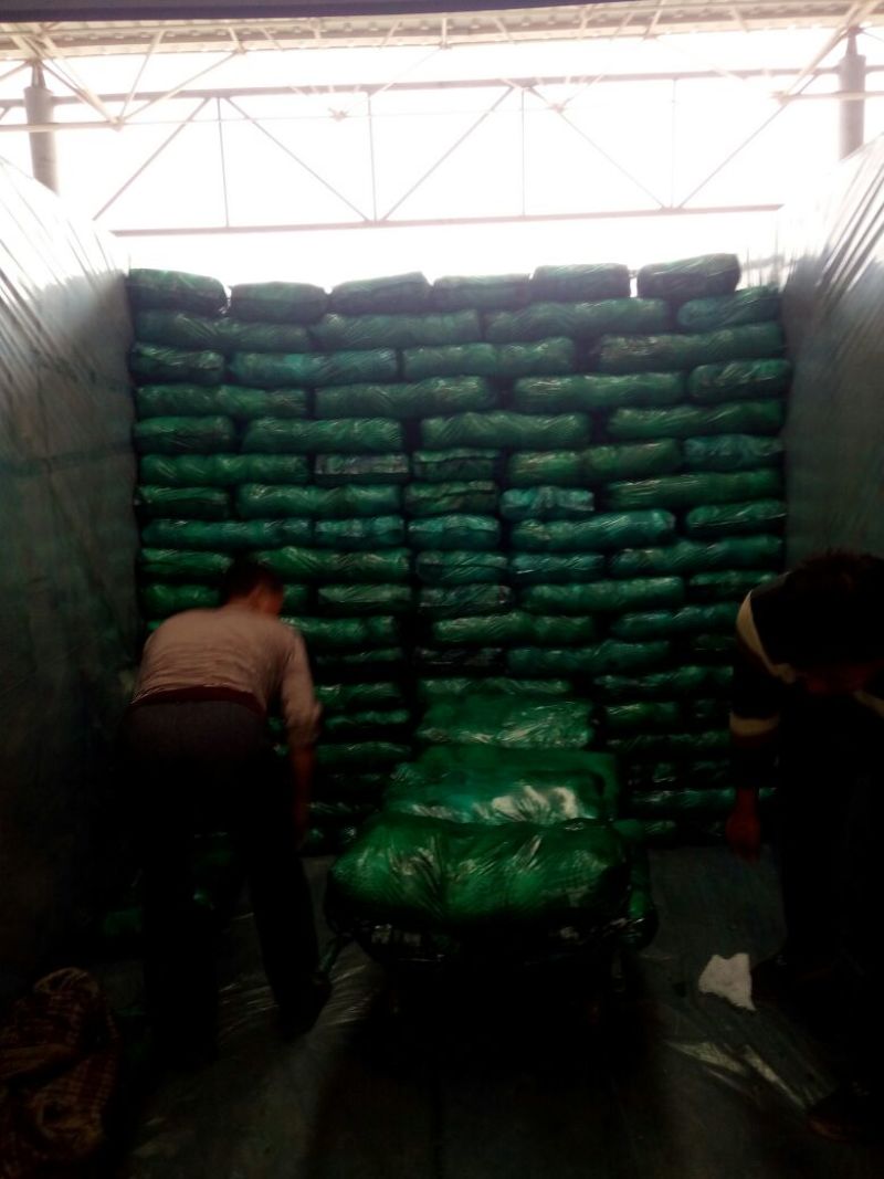 精品甘蓝产地直供一手货源批发品质保证价格优惠