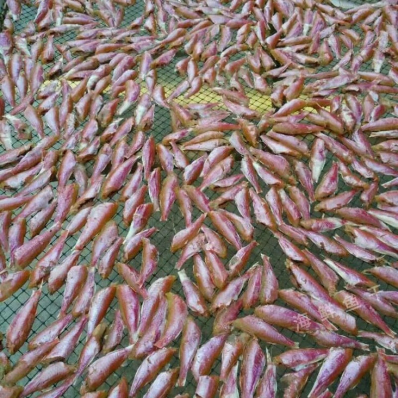 鱼干