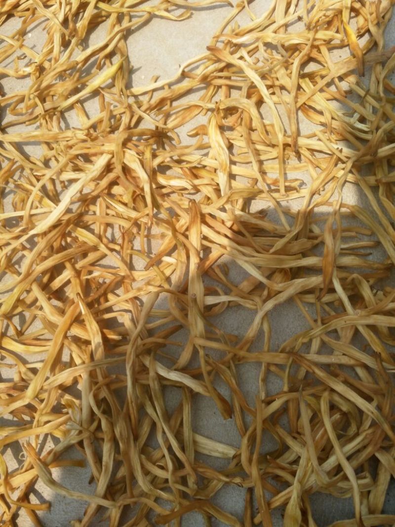 干黄花菜散装一级