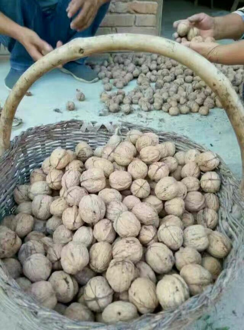 核桃25mm以下去皮干