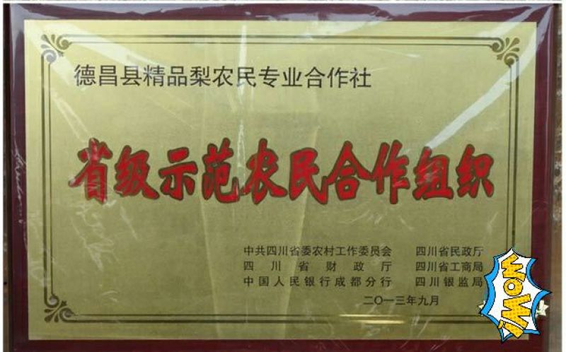 圆黄梨350~400g纸箱