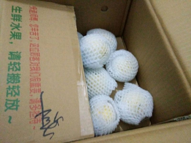 贵妃梨100~150g纸箱