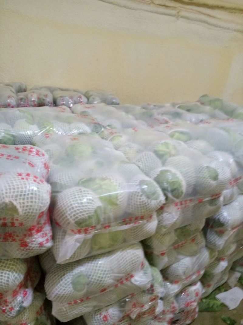 白花菜花1斤紧密乳白