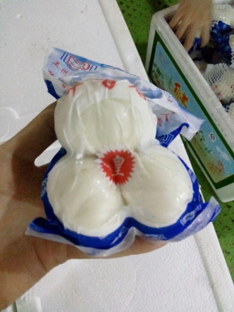 兰州百合三头