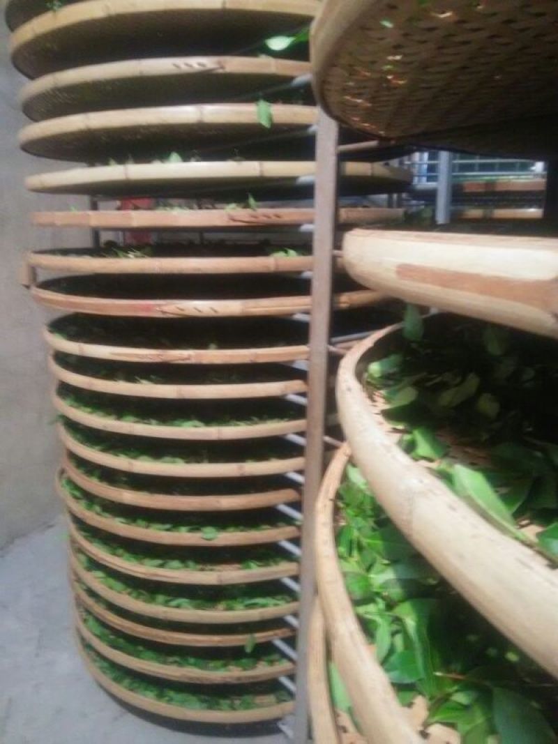 观音茶一级