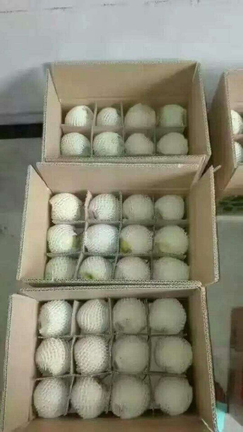 酥梨350~400g纸箱