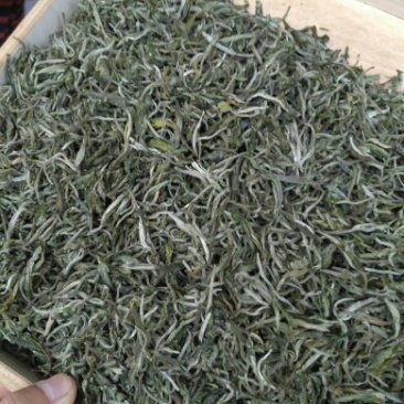 普洱绿茶