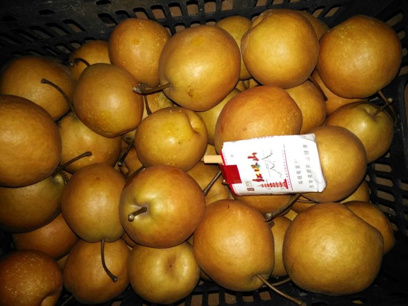梨200~250g筐装