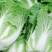 大白菜4~5斤大量供应，持续时间长，无烧心无烂棵诚信代收