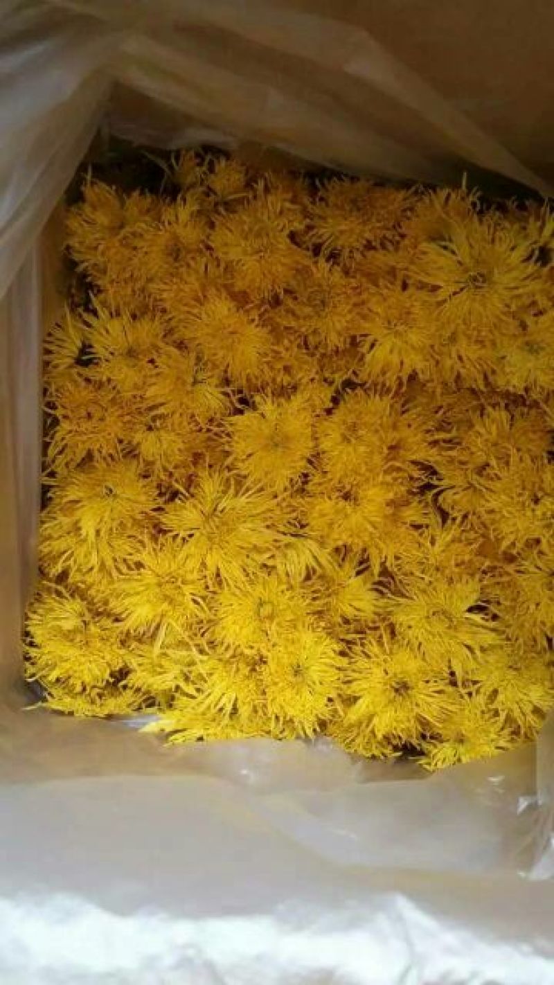 皇菊茶