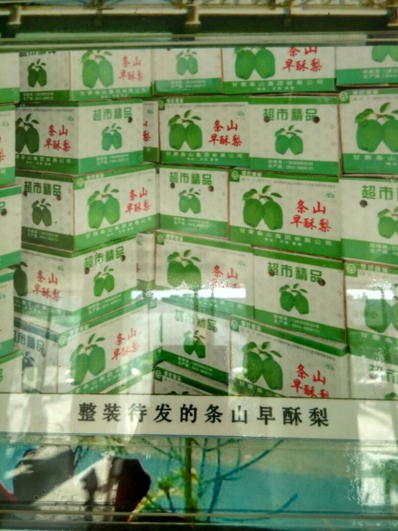 早酥梨550~600g筐装